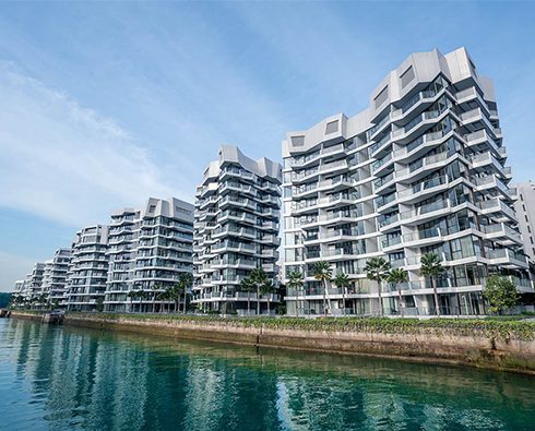 Corals at Keppel Bay